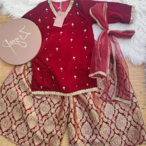 Zarmin velvet lehnga set with embellished choli and net dupatta