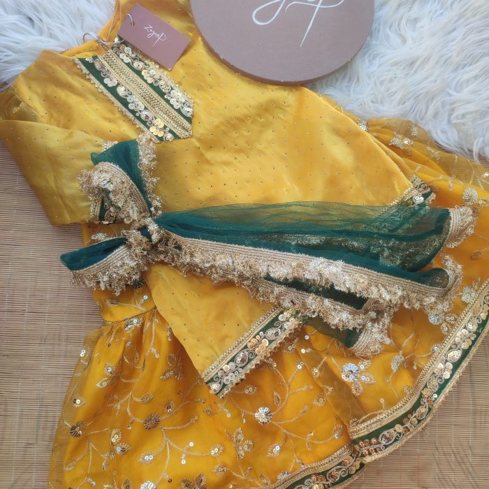 IMG_20251128_133953 IMG_20251128_133953