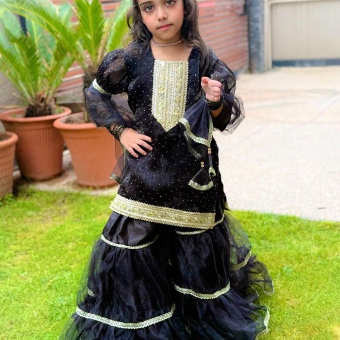 WhatsApp Image 2025-12-11 at 12.05.15 PM (4) WhatsApp Image 2025-12-11 at 12.05.15 PM (4)