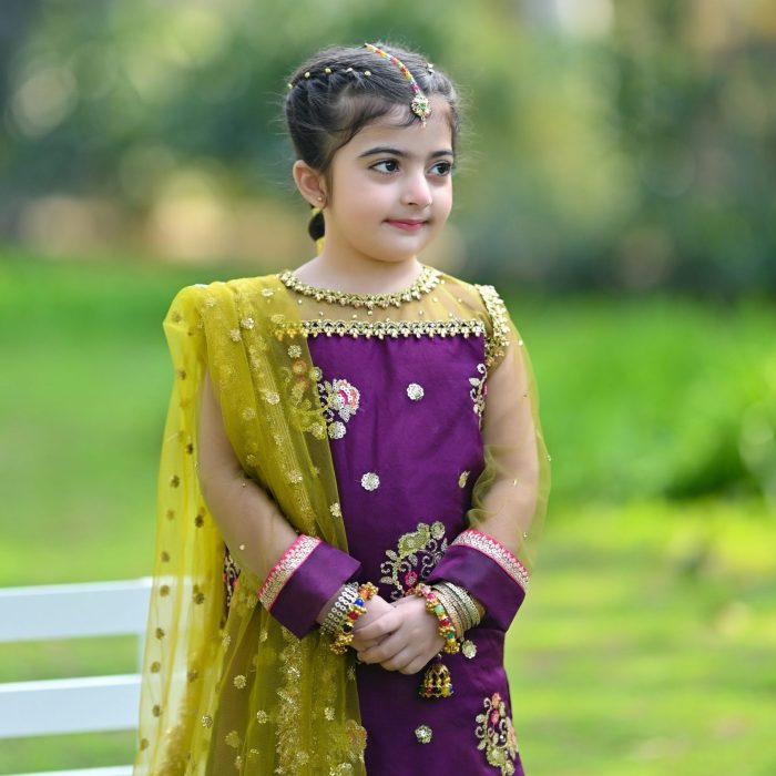 ALAYA SHARARA SET (12) ALAYA SHARARA SET (12)