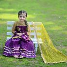 ALAYA SHARARA SET (14)