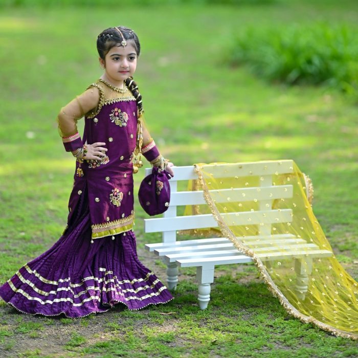 ALAYA SHARARA SET (5) ALAYA SHARARA SET (5)