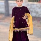 aizal peplum sharara (13)