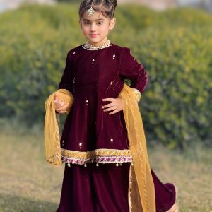 aizal peplum sharara (15)