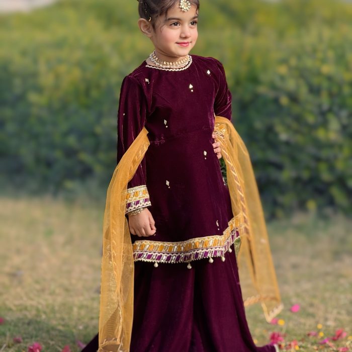 aizal peplum sharara (5)