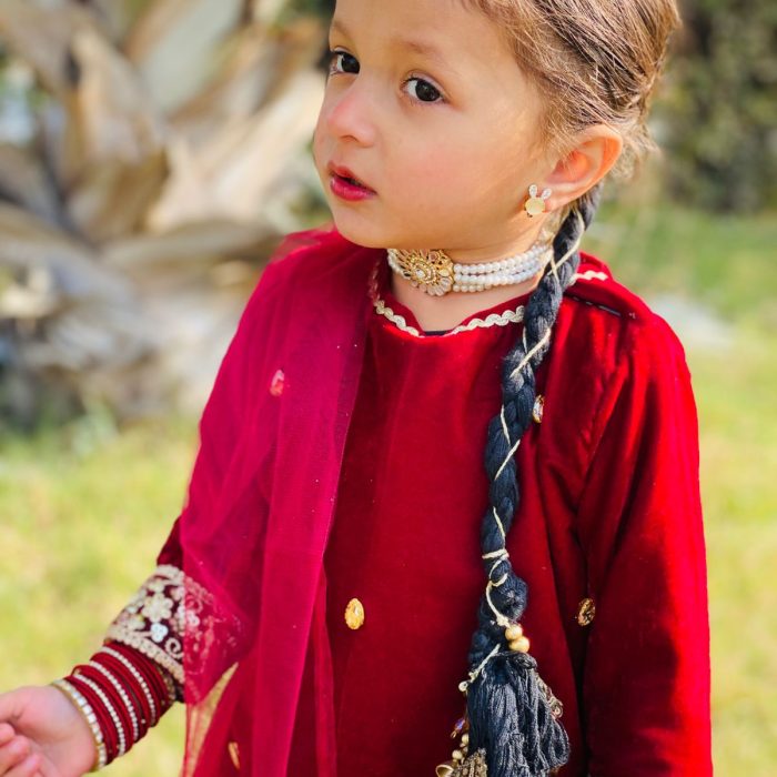 zaha maronn velvet and jamawar (1)