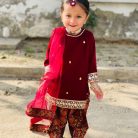 zaha maronn velvet and jamawar (2)