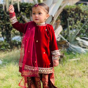 zaha maronn velvet and jamawar (4)