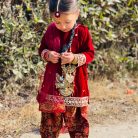 zaha maronn velvet and jamawar (6)