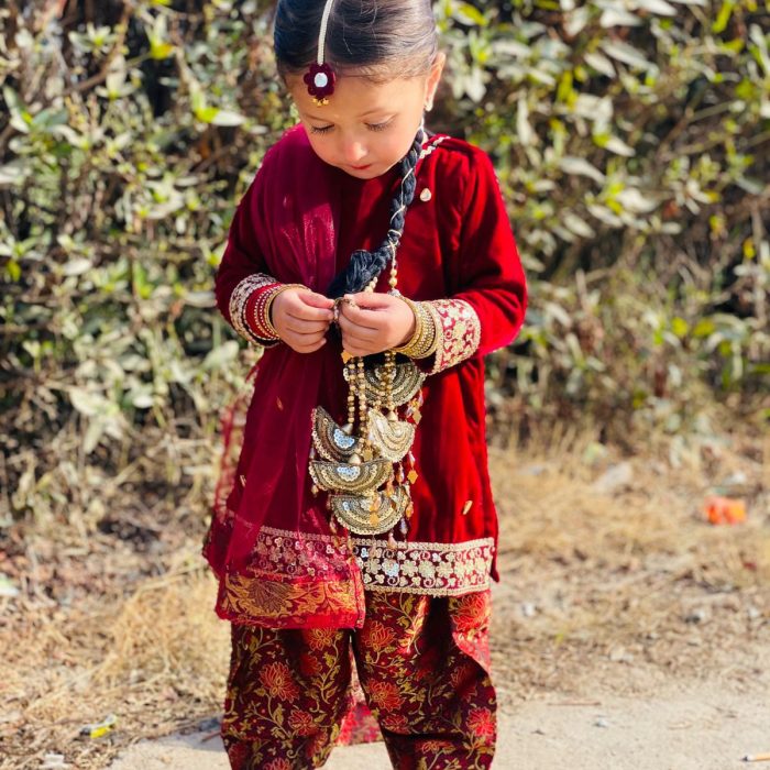 zaha maronn velvet and jamawar (6)