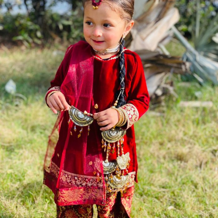 zaha maronn velvet and jamawar (7)