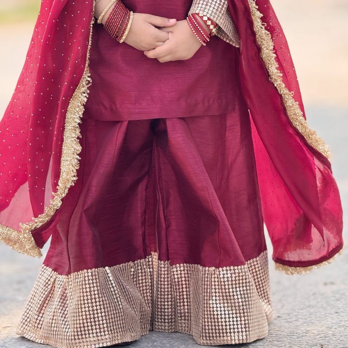 aizal ainoor maroon sharara set (23) aizal ainoor maroon sharara set (23)