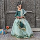 hoorain green lehnga choli (1)