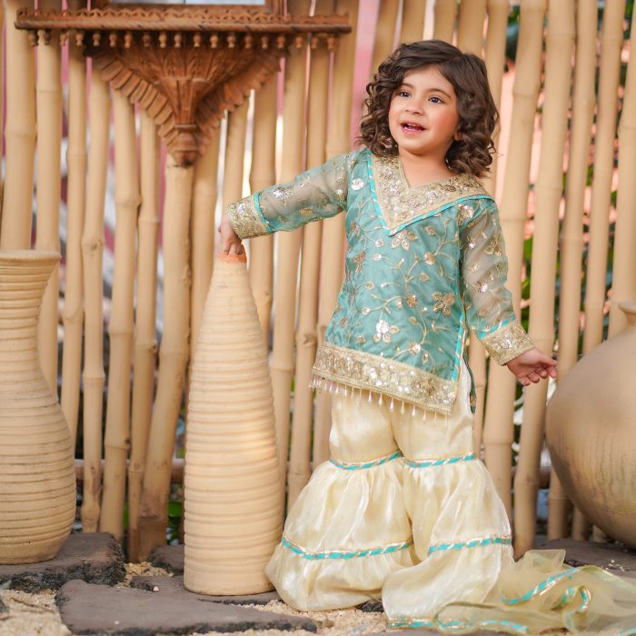 washma gharara set (5) washma gharara set (5)